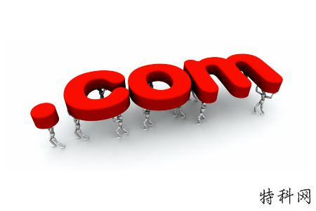 建立个人网站：打开受惩罚的域名，怎么做？ 第1张
