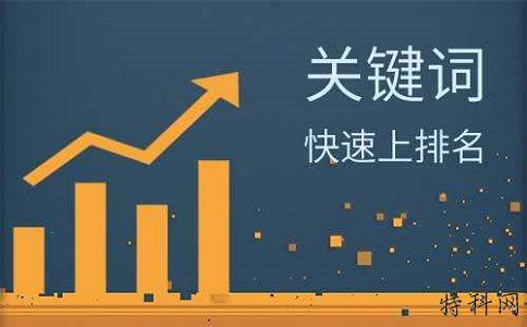 网站推广不排名？使用SEO技术“握住佛陀的脚” 第3张