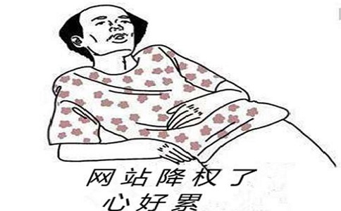 该网站已被降级，不要气，，SEO助手解决您的问题 第1张