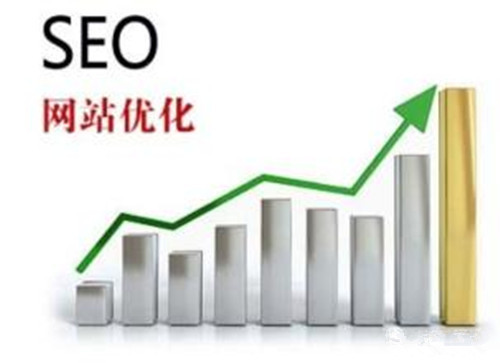 如何使用SEO技术来增加网站访问量？ 第2张
