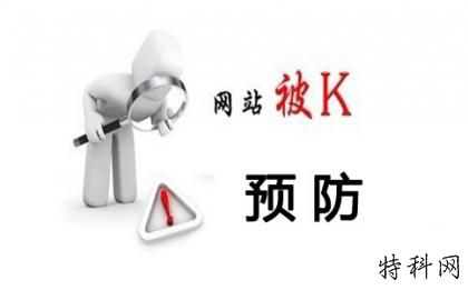 入网后如何快速恢复网站 第1张