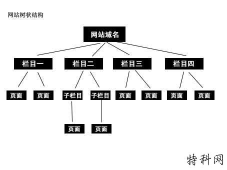SEO优化丨结构和步骤，网站优化完成“路数” 第3张