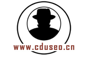 如何编写SEO优化推广计划？ 第1张