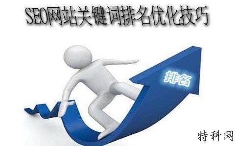如何选择适合您网站开发的seo优化解决方案？ 第1张