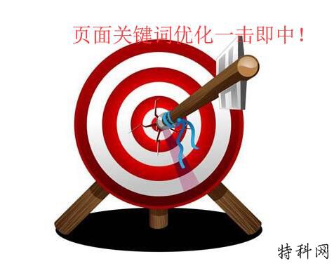 “ seo服务”页面关键字的优化方法 第1张